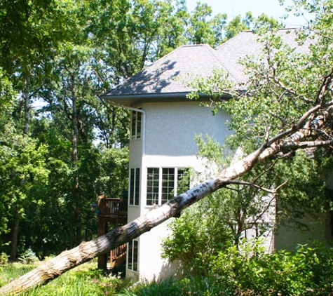 BJ Haines Tree Services - Stillwater, MN