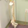 Midwest Spine Surgeons gallery