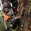 JNP Tree Removal - Tree Service