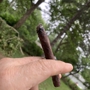 Churchills Fine Cigars Pipes