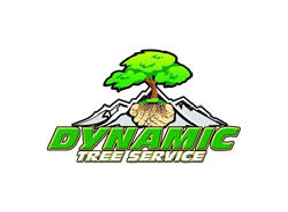 Dynamic Tree Service