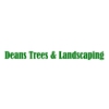 Deans Trees & Landscaping gallery