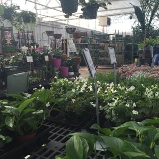 Dan Schantz Greenhouse & Cut Flower Outlet