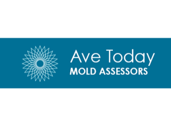 Ave Today Mold Assessors - Aventura, FL