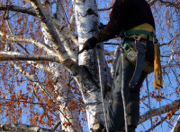 A-1 Affordable Tree Service - Troy, OH