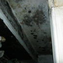 Enviro-Clean Services Inc - Air Duct Cleaning