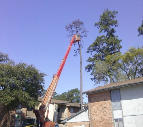 Quality Tree and Lawn - Leander, TX