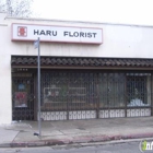 Haru Florist