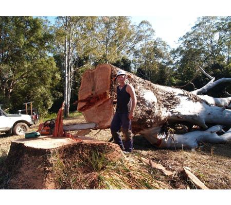 Arbpro Tree Specialists - Moonee Beach, NSW