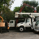 Arborcare Inc - Arborists