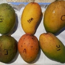 Serendib Tropical Fruits - Fruit & Vegetable Growers & Shippers