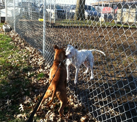 Shelburne Pet Center - Shelbyville, KY