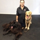 Reward That Puppy Dog Training Inc.