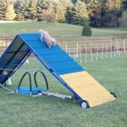 EMMCO SPORT Dog Agility Equipment