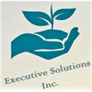 Executive Solutions Inc - Steel Erectors