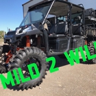 Mild 2 Wild Powersports & Customs