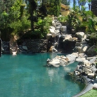 Pacific Paradise Pools & Spas