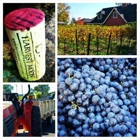 Harvest Moon Estate & Winery