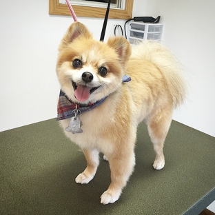 Petite Paw Grooming - West Danville, VT