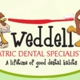 Lauren S. Weddell, DDS, MSD