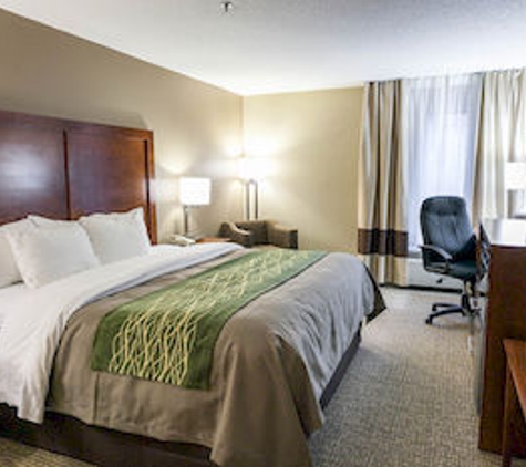 Comfort Inn - Bristol, VA