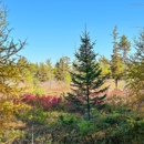 Saco Heath Preserve - Nature Centers