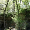 Wapsipinicon State Park Ranger gallery