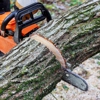C & B Tree Service gallery