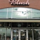 Blush - Flowers, Plants & Trees-Silk, Dried, Etc.-Retail