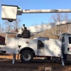 Mast Tree Service gallery