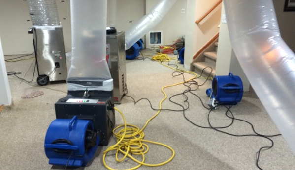 Reliable Water Damage Restoration