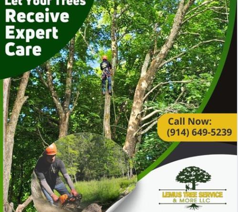 Lemus Tree Service & More LLC - Wappinger Falls, NY