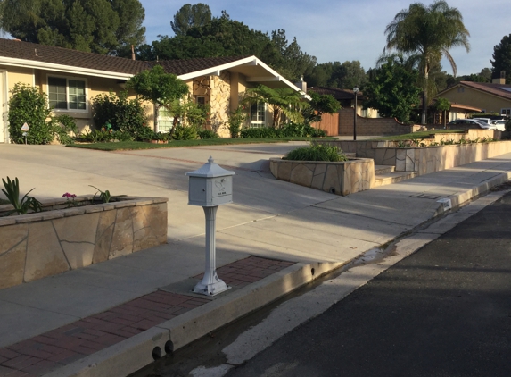 Wild Flower Landscape & Design - Sherman Oaks, CA. Wild Flower Landscape wall & flower bed.