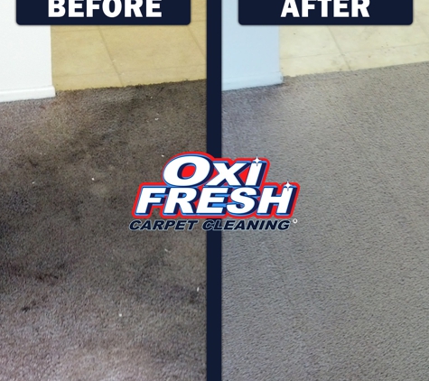 Oxi Fresh Carpet Cleaning