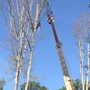 Exceed Tree Care