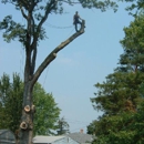 Tony J. Bricker Tree Service - Arborists