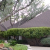 Raintree Roofing gallery