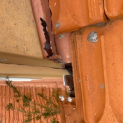 Gallery Image Number 3