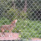 Wildlife Science Center