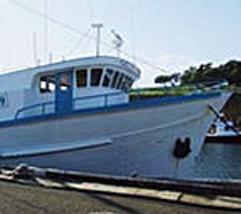 Better Choice Fisheries
