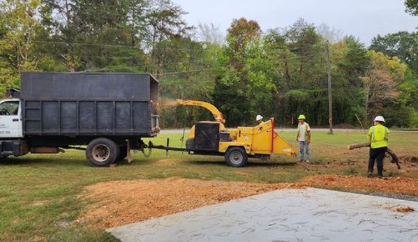 Affordable Tree Service Inc - Tuscumbia, AL