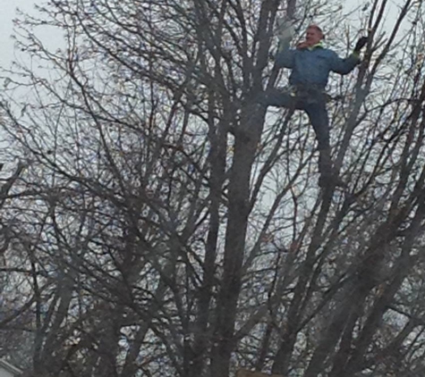 Kottman's Tree Service - Saint Charles, MO