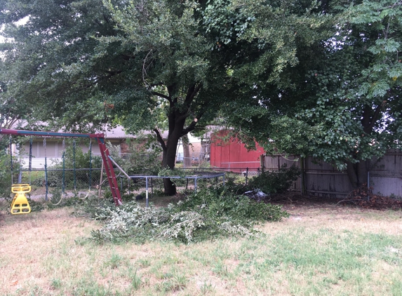 John's Tree Service - Dallas, TX. Mess in my yard