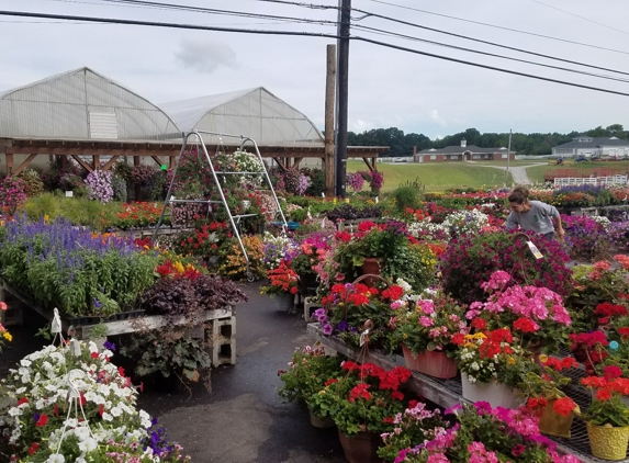 Frank's Farm Market - Fairview, PA