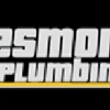 Desmoni Plumbing Inc gallery