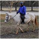 Wheaton Park Stables - Stables