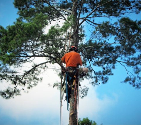 Arbor Barber Trees LLC - Fort Walton Beach, FL