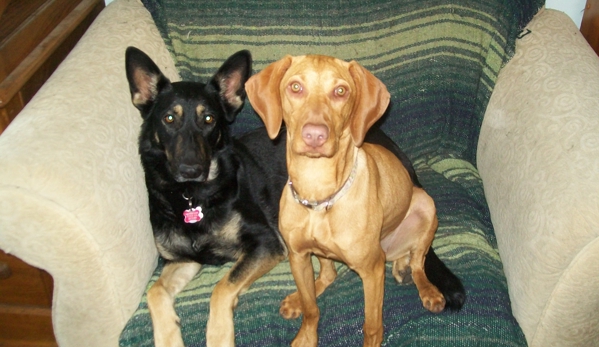ANIMAL FRIENDS PROFESSIONAL PET CARE- PET SITTER & DOG WALKER - Bend, OR