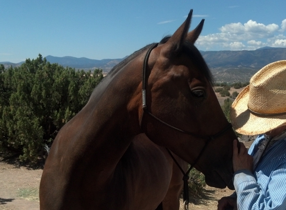 In Sync with Horses - Abiquiu, NM