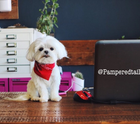 Pampered Tails - Los Angeles, CA